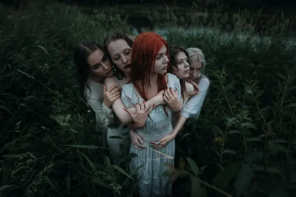 Casino Dove Bingo Stuðningur